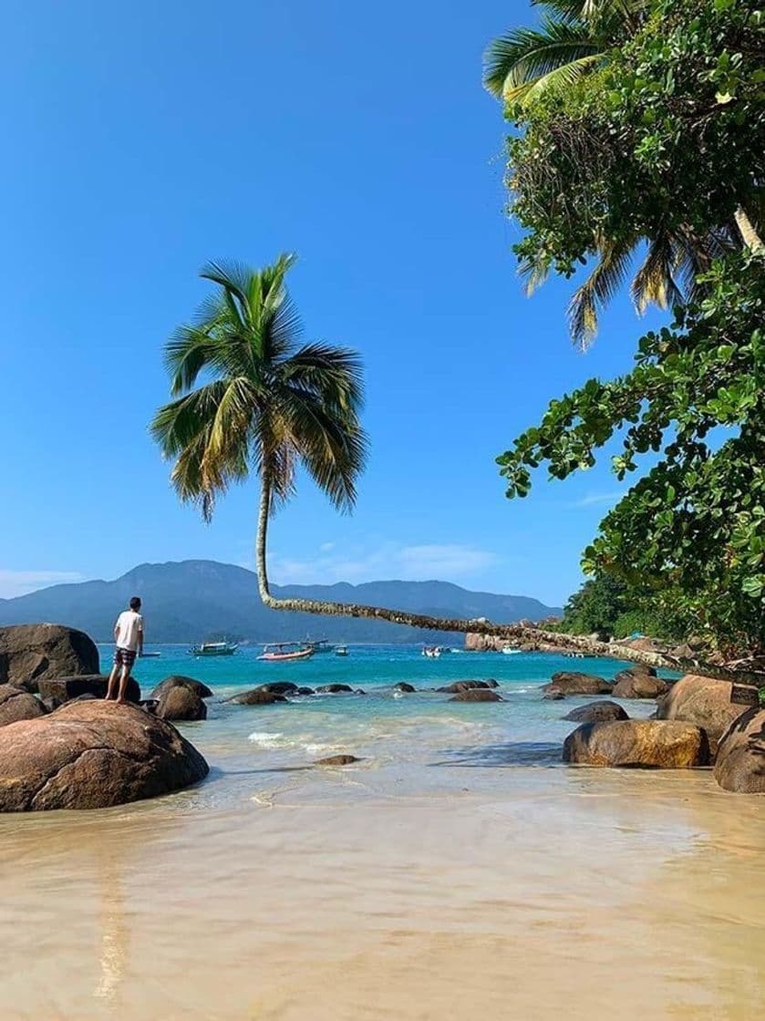 Place Ilha Grande