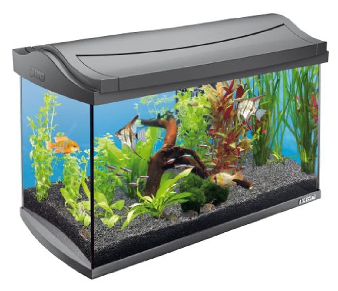 Producto Tetra AquaArt Kit de acuario completo Discover Line