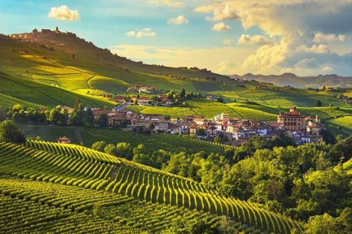 Moda Vineyard Landscape of Piedmont: Langhe-Roero and Monferrato