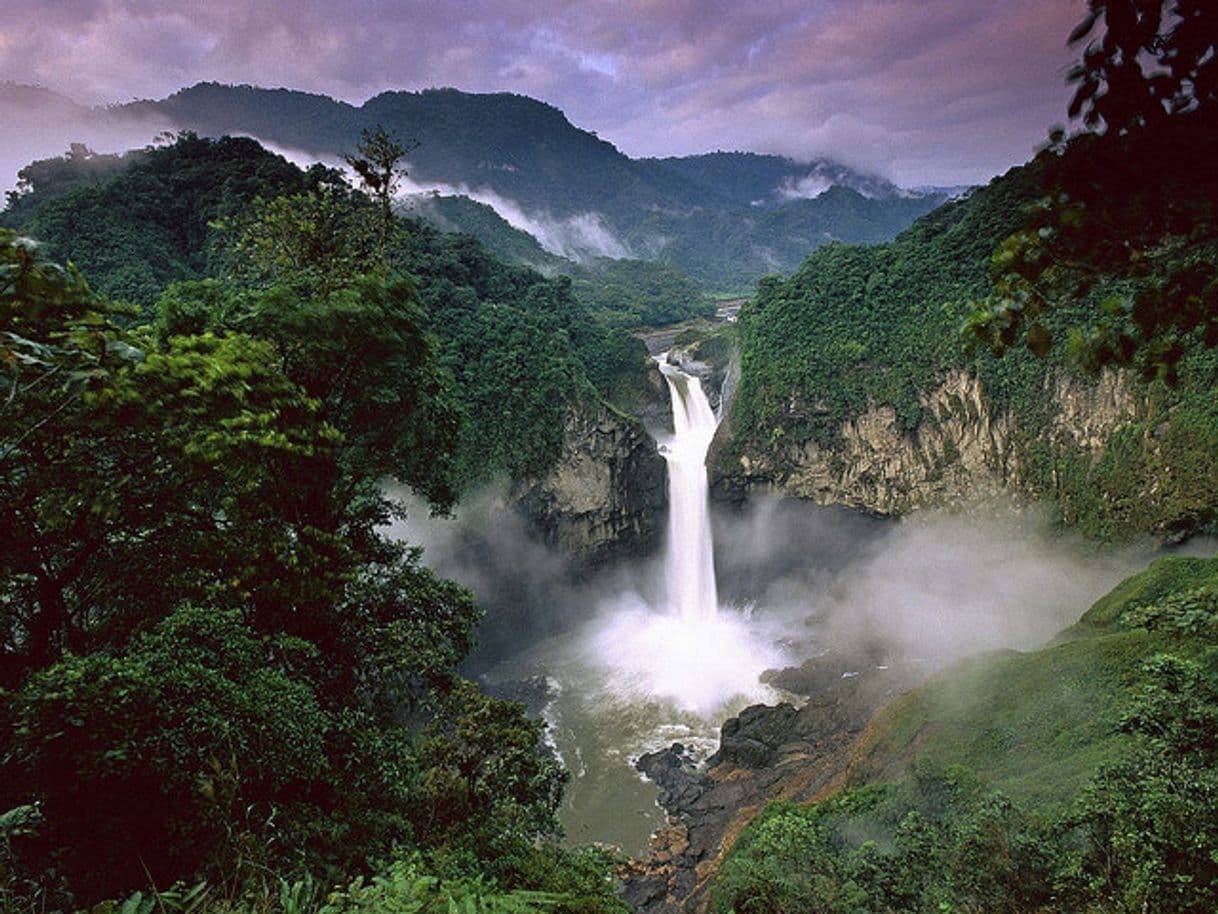 Place Yasuni National Park