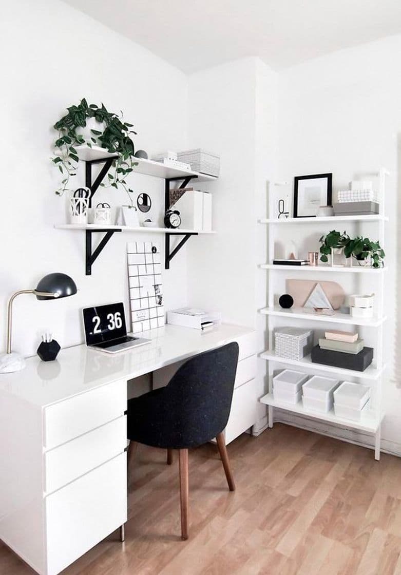 Moda B R A N C O | Home Office