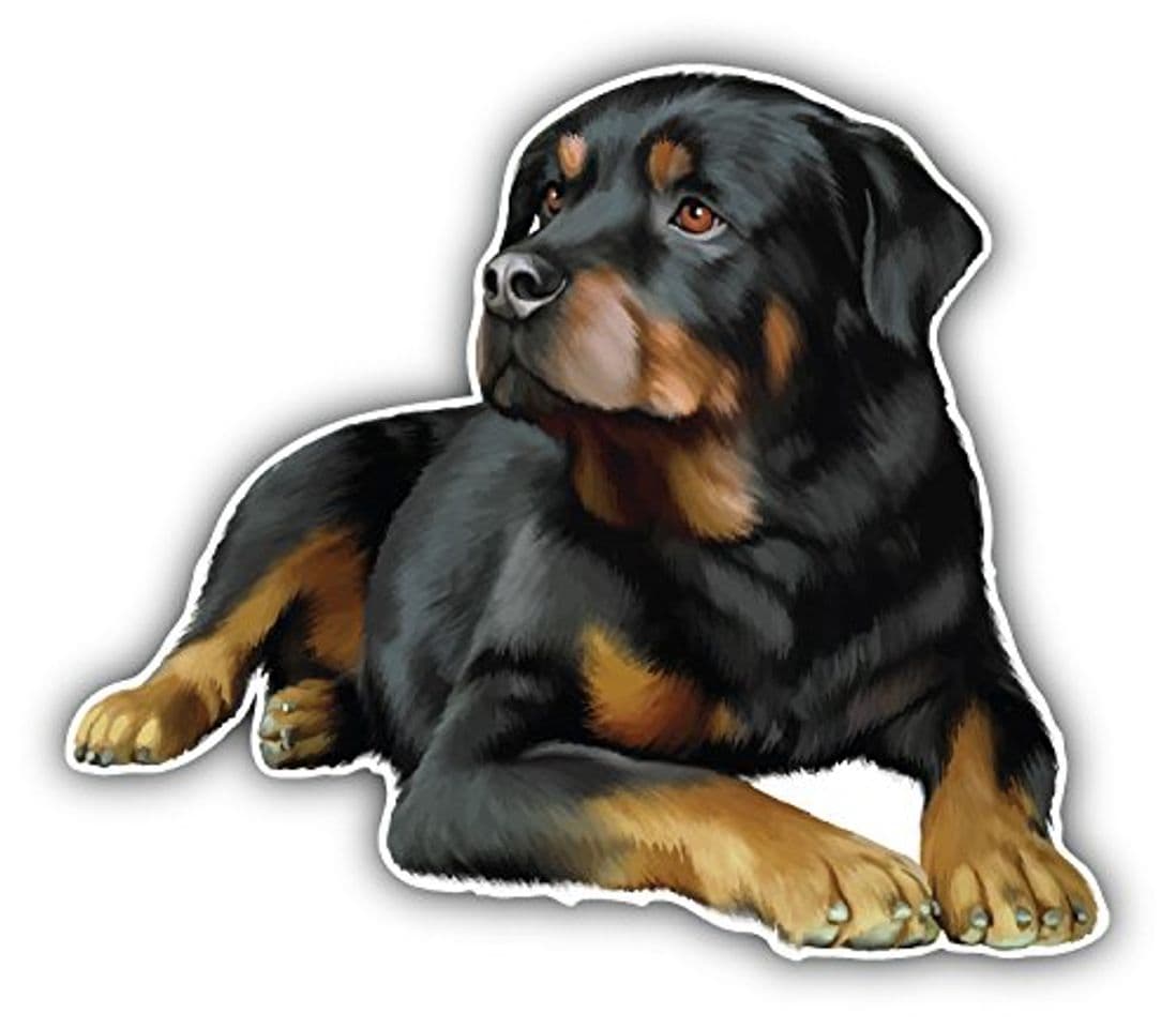 Producto Rottweiler Dog Pegatina de Vinilo Para la Decoracion del Vehiculo 12 X 10 cm