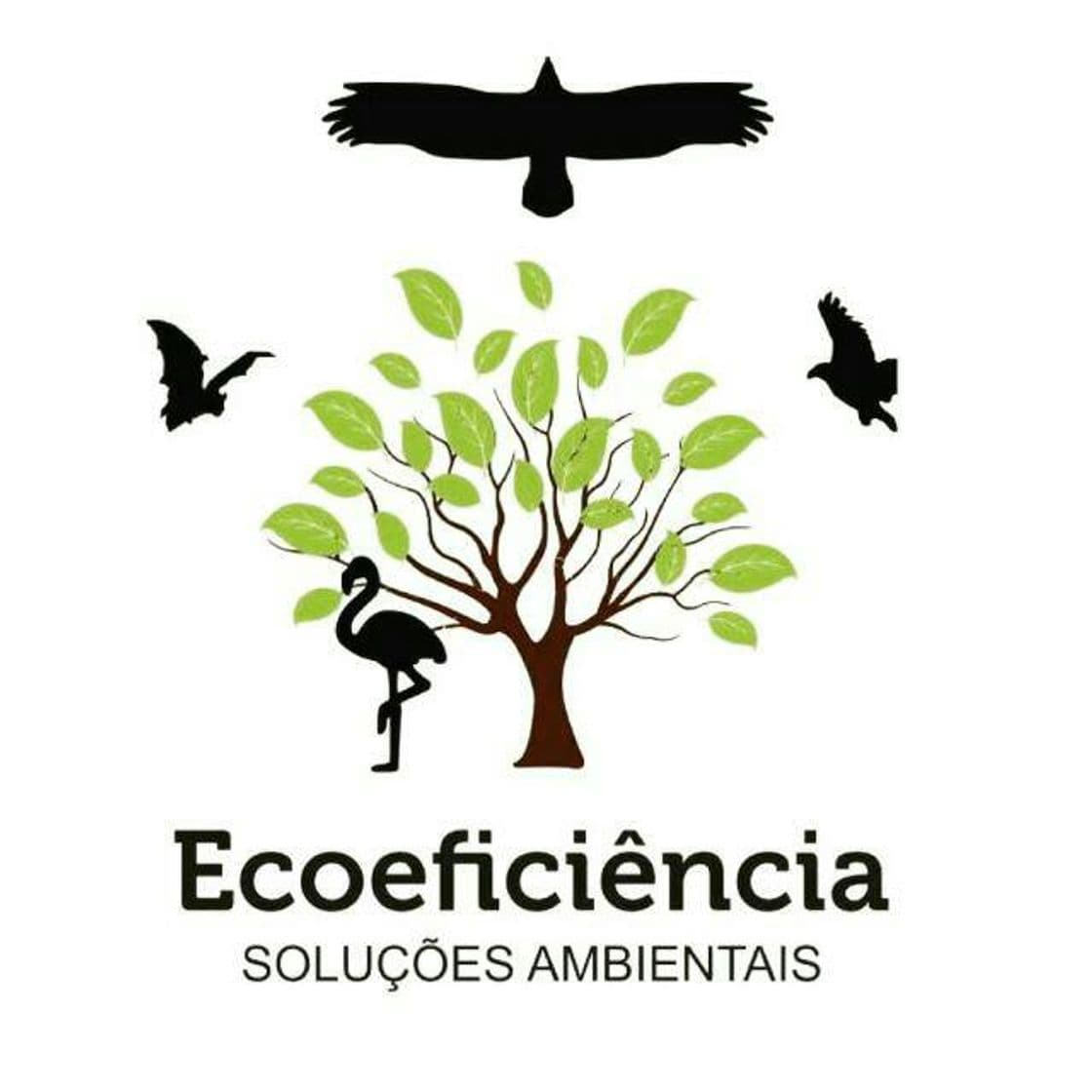 Lugar Ecoeficiência Soluções Ambientais