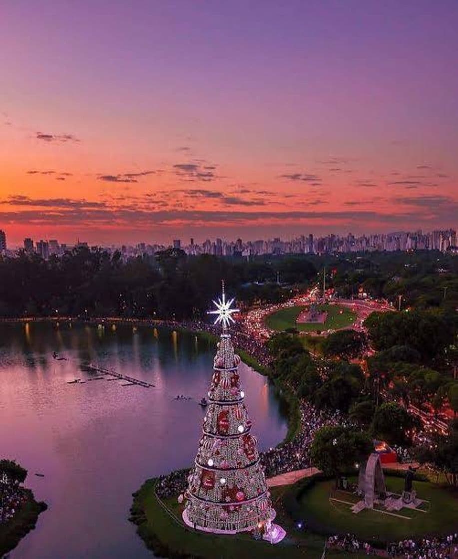 Lugar Parque Ibirapuera