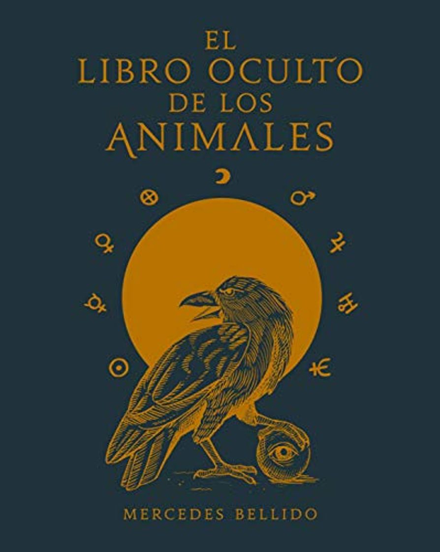 Libro El libro oculto de los animales