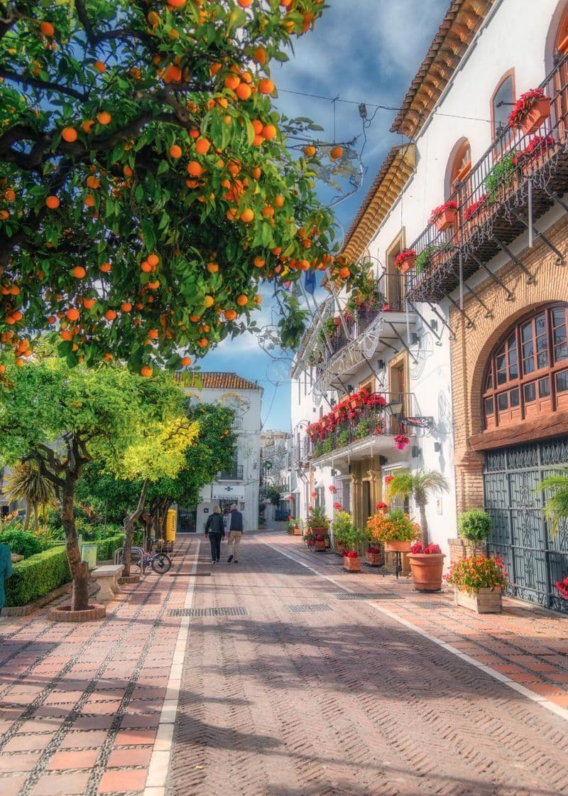 Place Plaza de los Naranjos