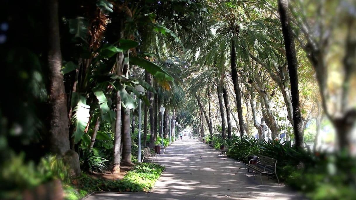 Place Parque Málaga SL