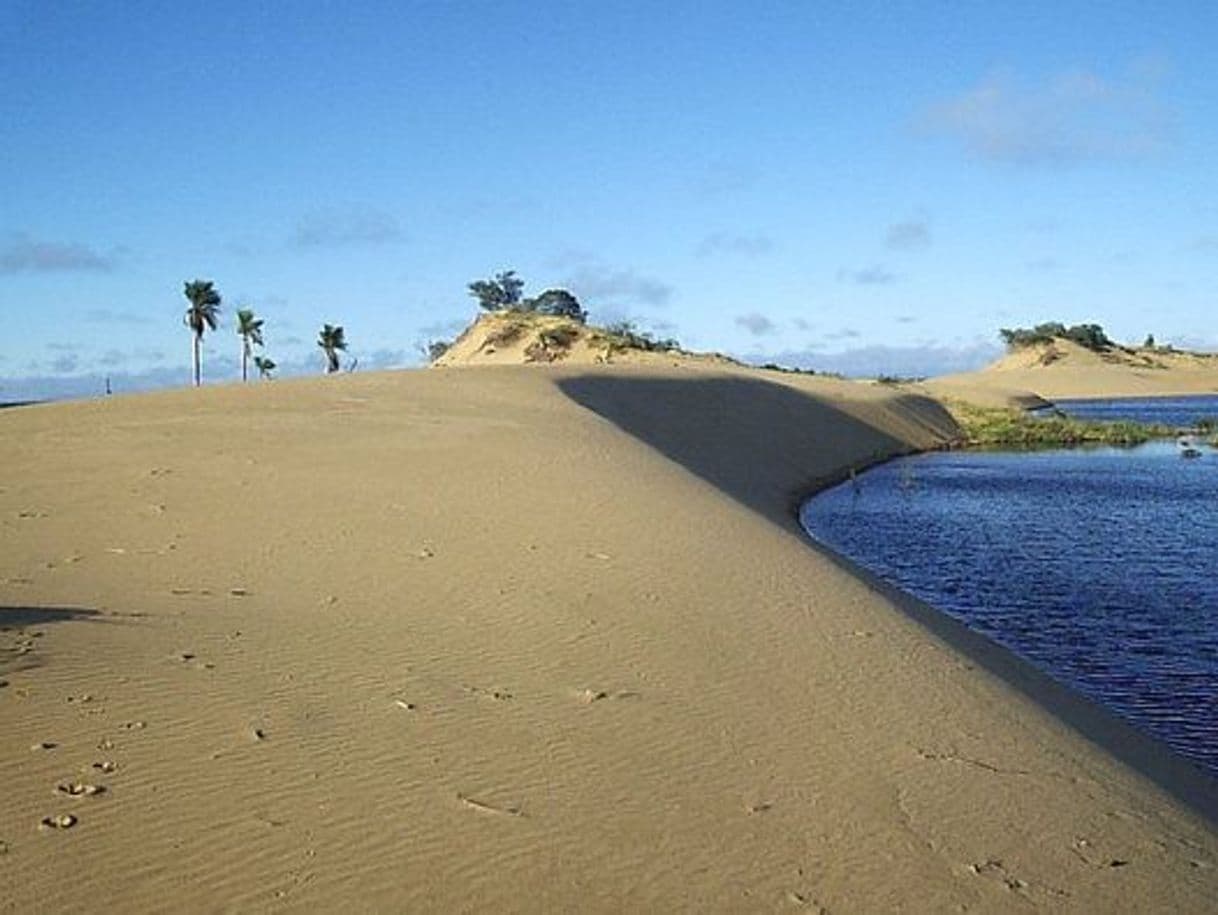 Place Dunas de San Cosme y San Damián