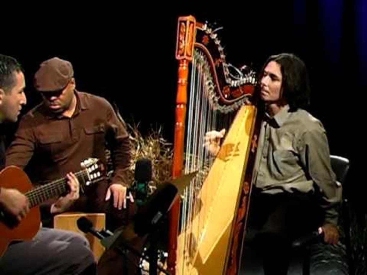 Music El Tren Lechero - Nicolas Carter on Paraguayan harp - YouTube