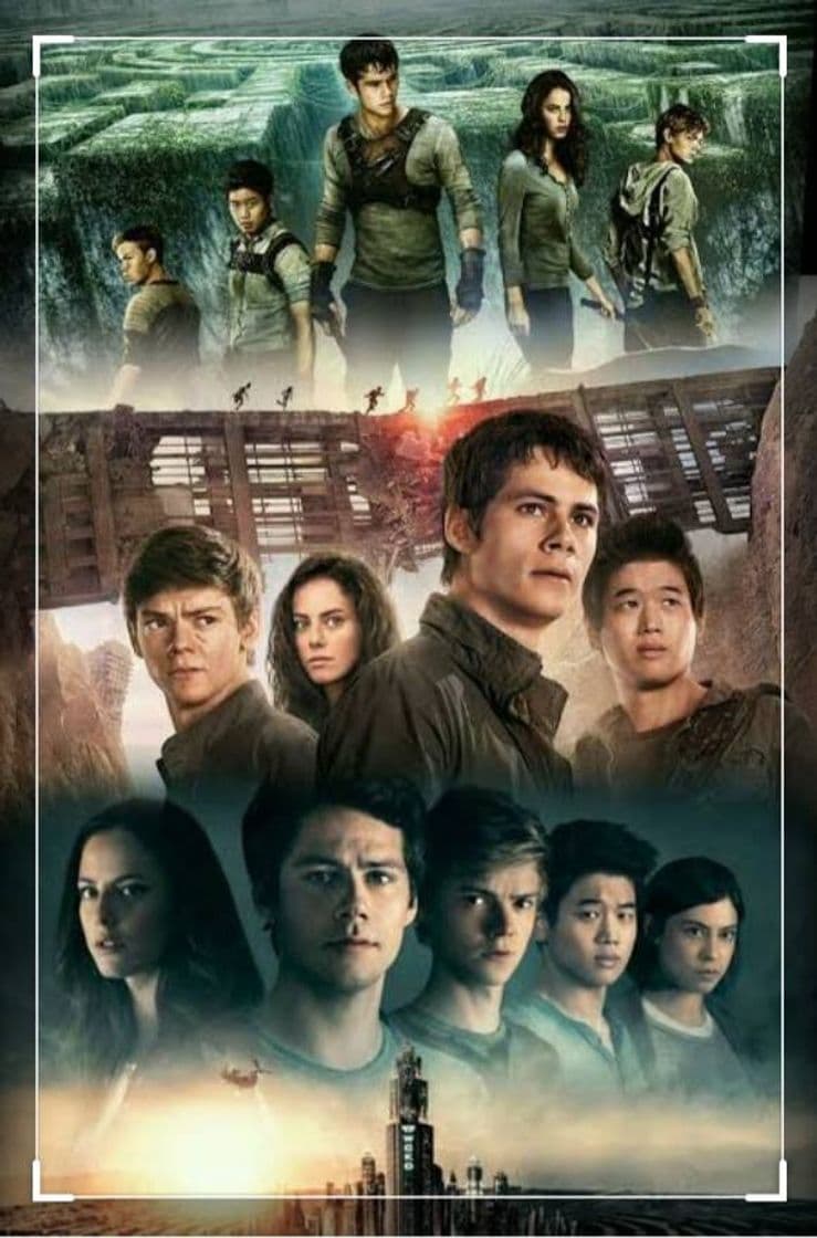 Película Maze Runner