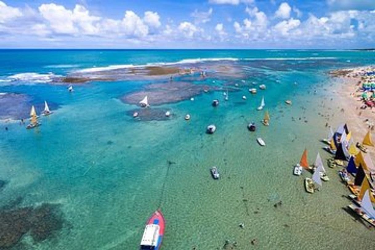 Place Porto de Galinhas