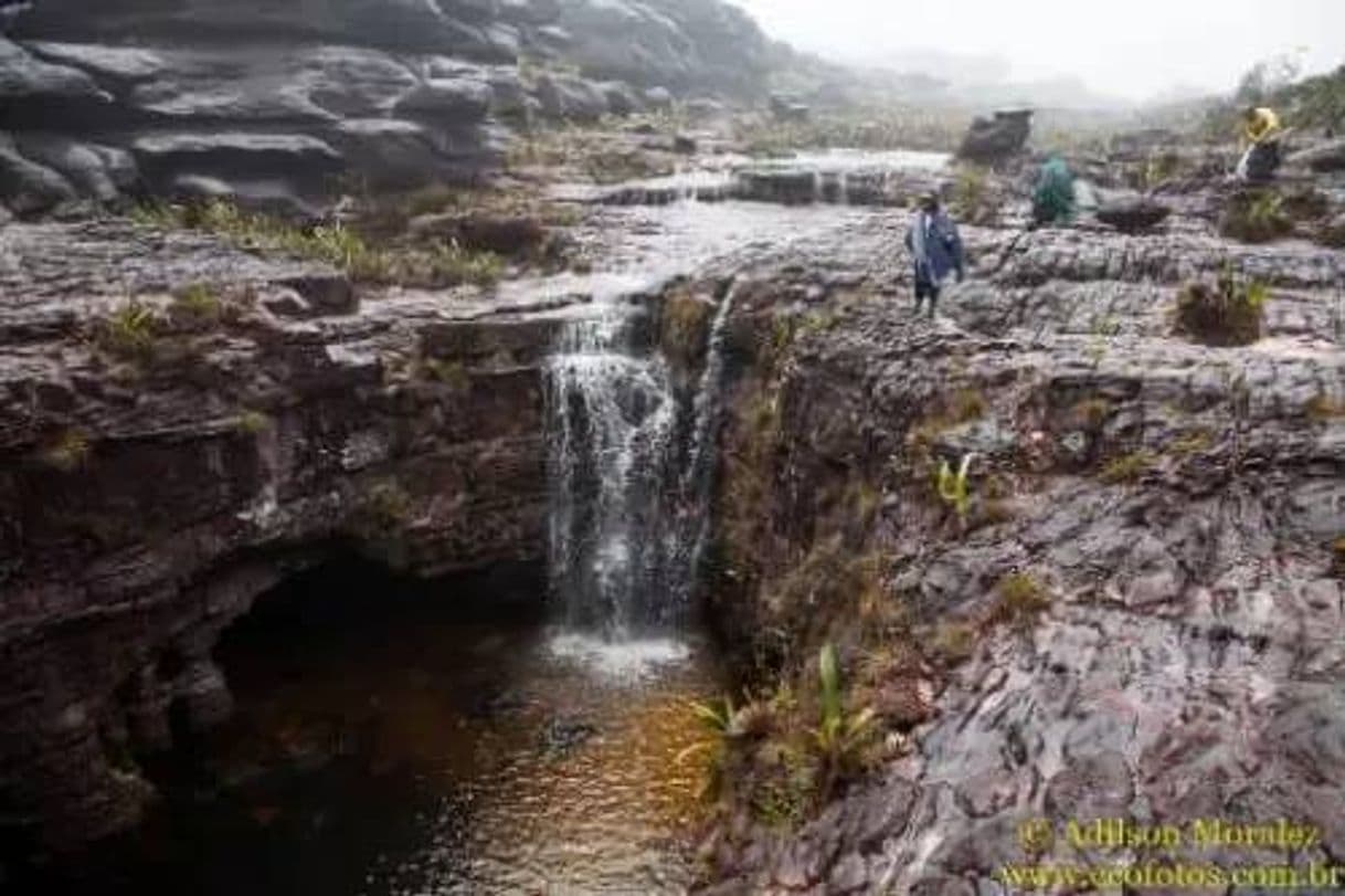 Lugar Roraima