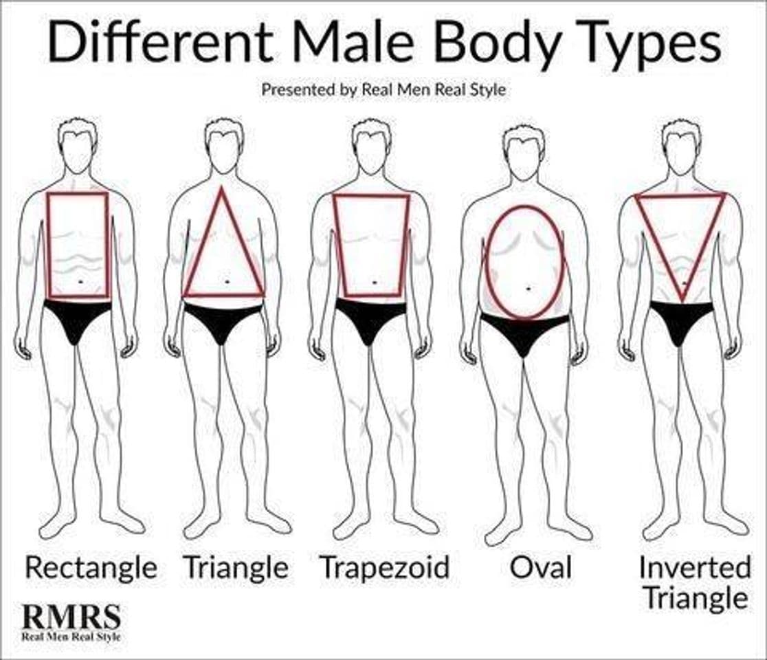 Fashion Tipos de cuerpos masculinos - Tipo de cuerpo del hombre