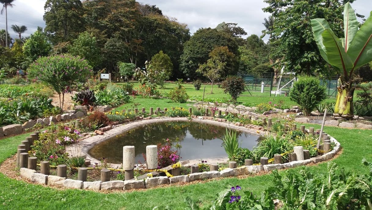 Place Jardim Botânico de Bogotá