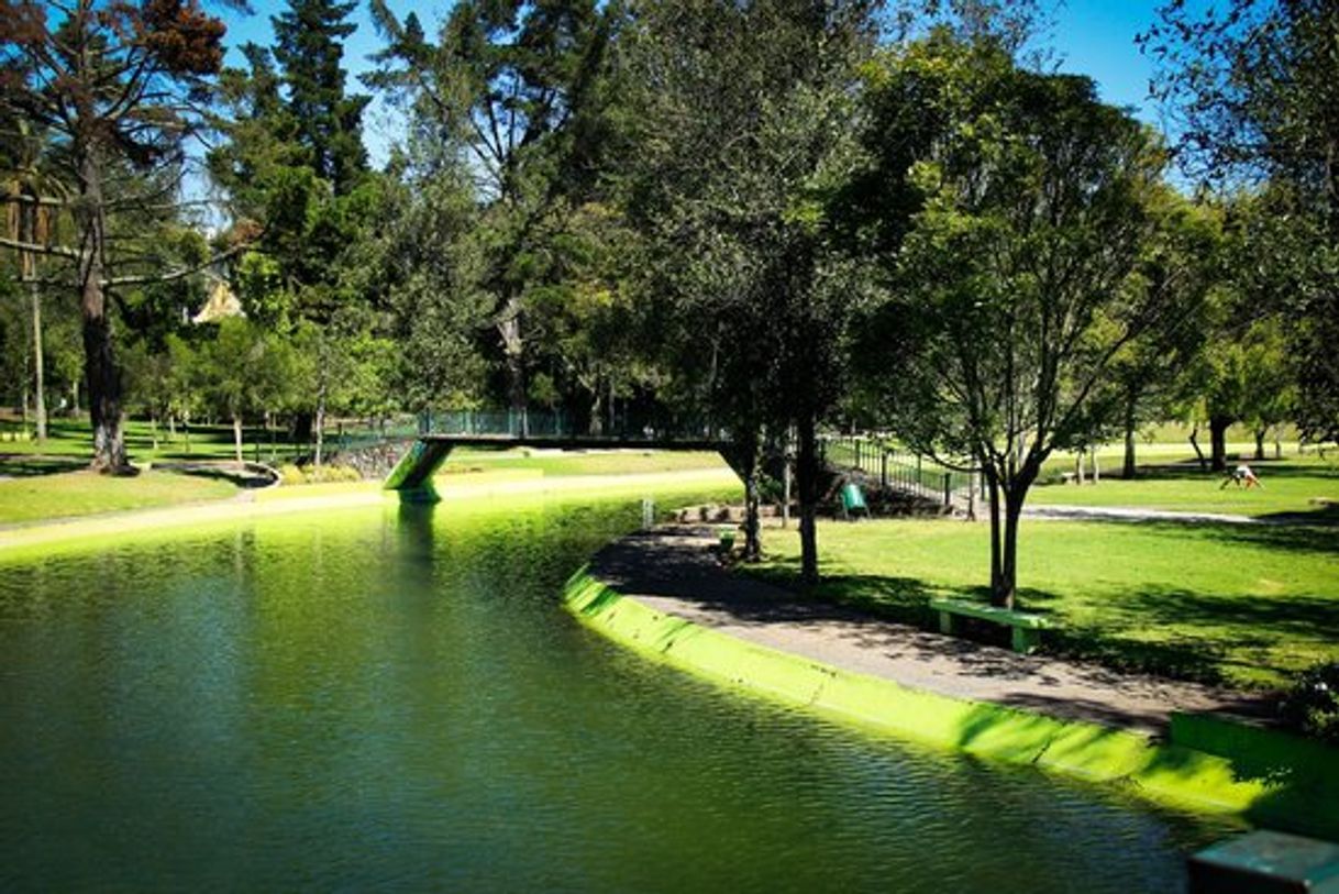 Lugar Parque La Carolina.