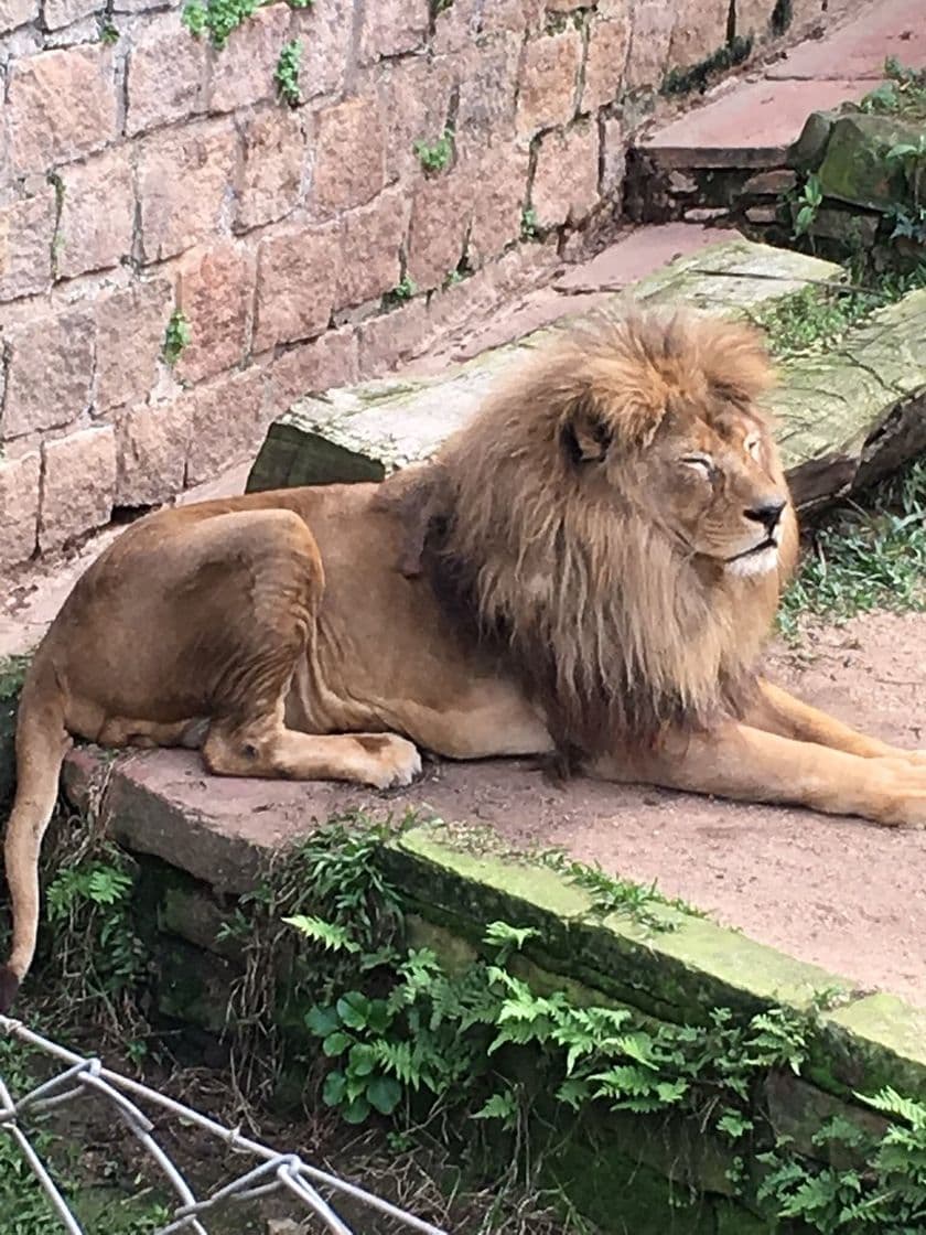 Place Zoológico de Sapucaia do Sul