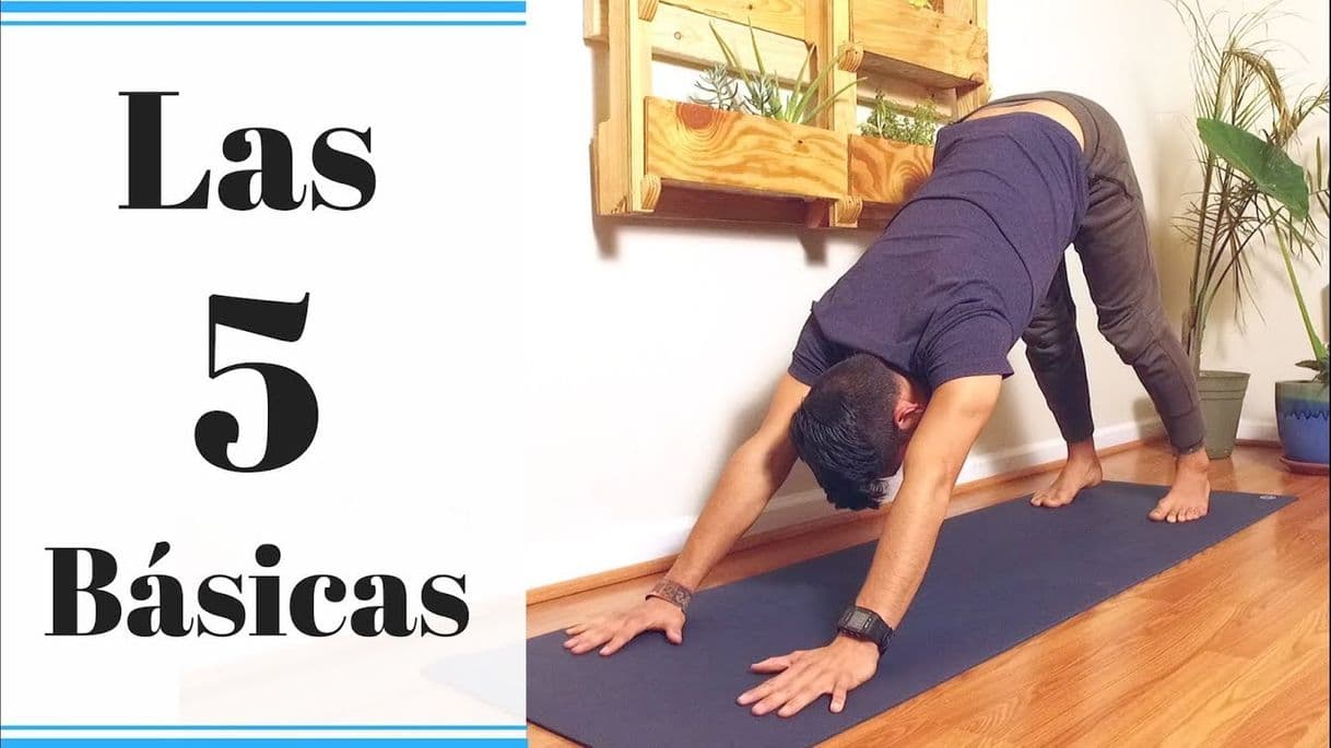 Moda 5 posturas básicas del yoga