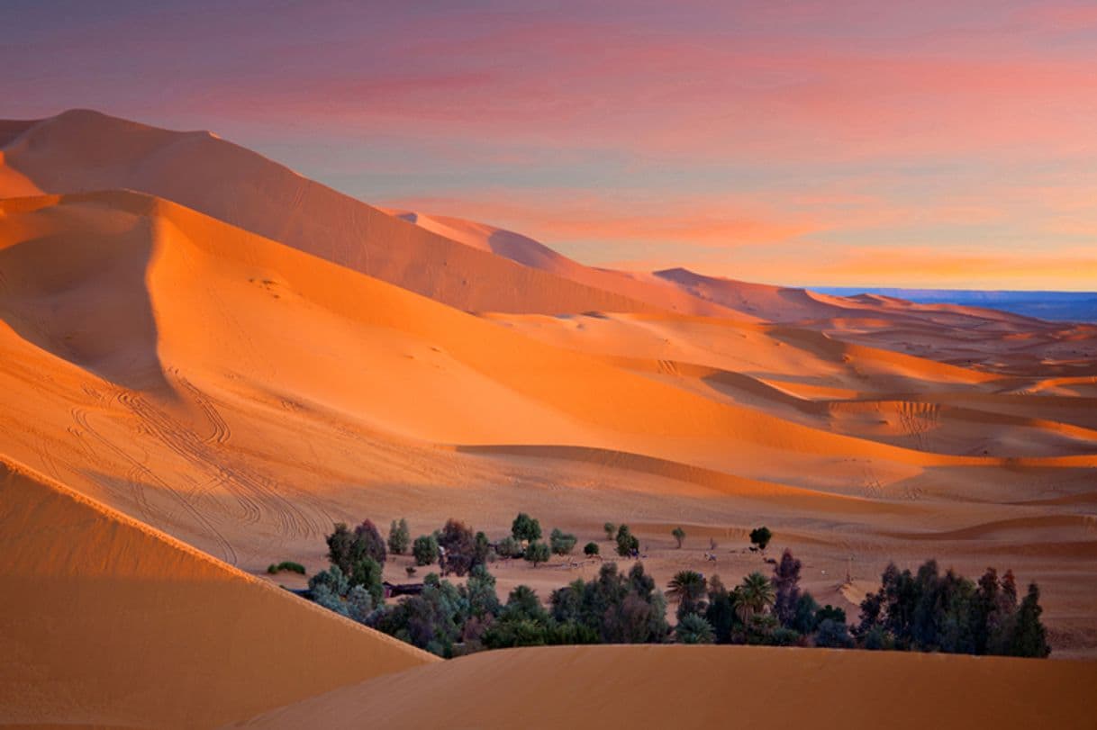 Lugar Sahara Desert