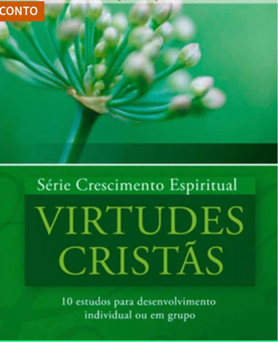 Book Virtudes Cristãs 