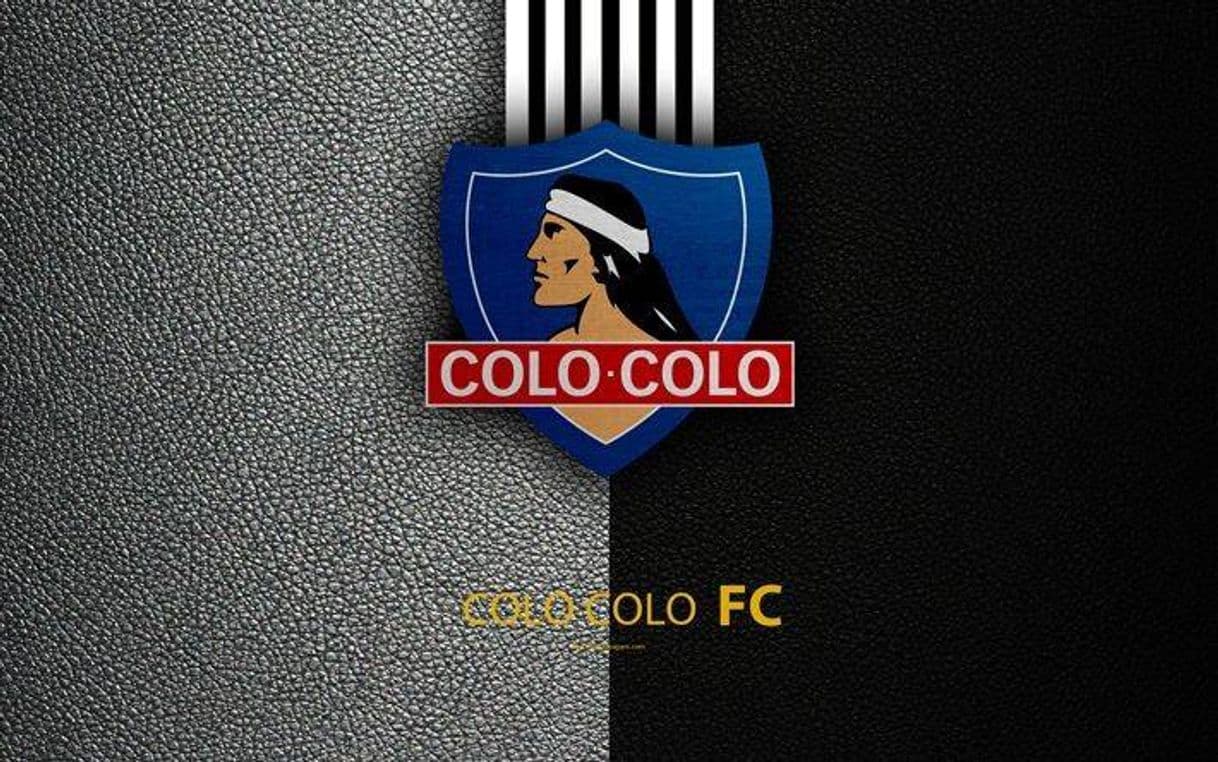 Lugar Club Social y Deportivo Colo-Colo