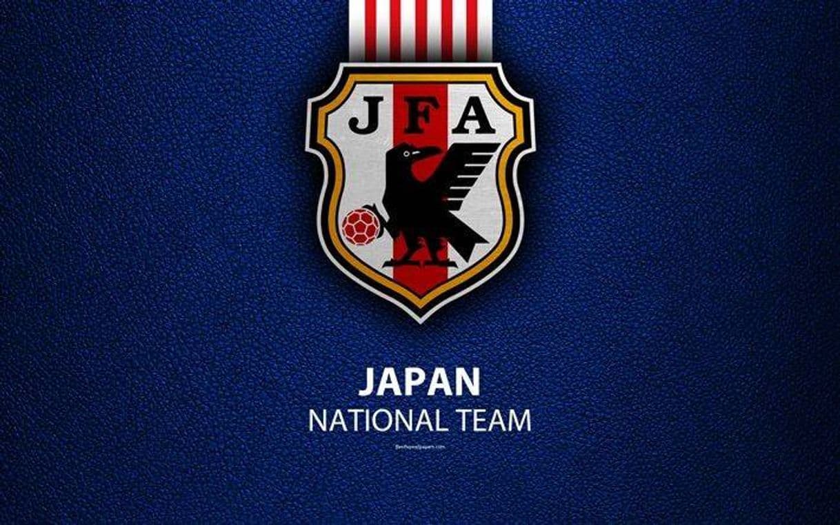 Place Japan Football Association