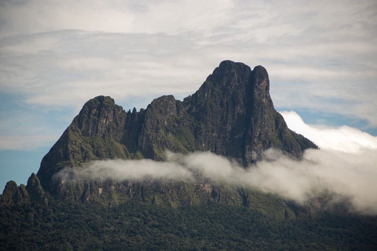 Lugar Pico da Neblina