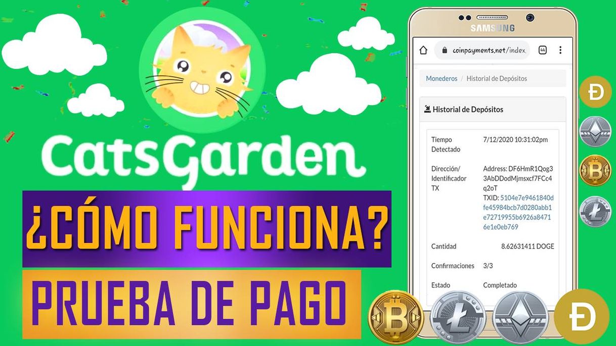 Moda CATS GARDEN GANA DOGECOINS