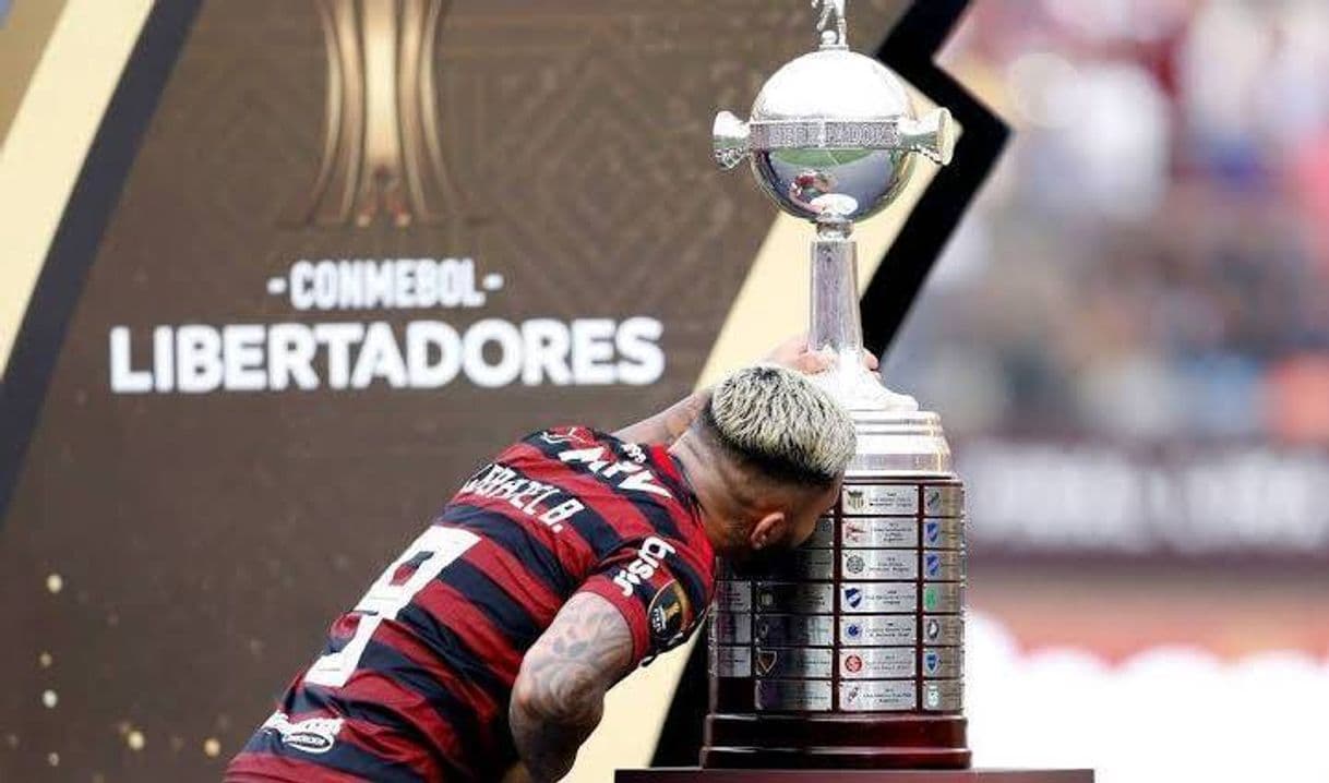 Fashion Campeão 2019