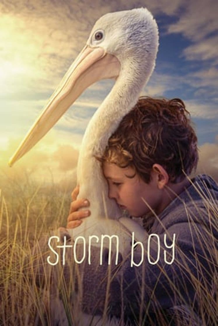 Movie Storm Boy