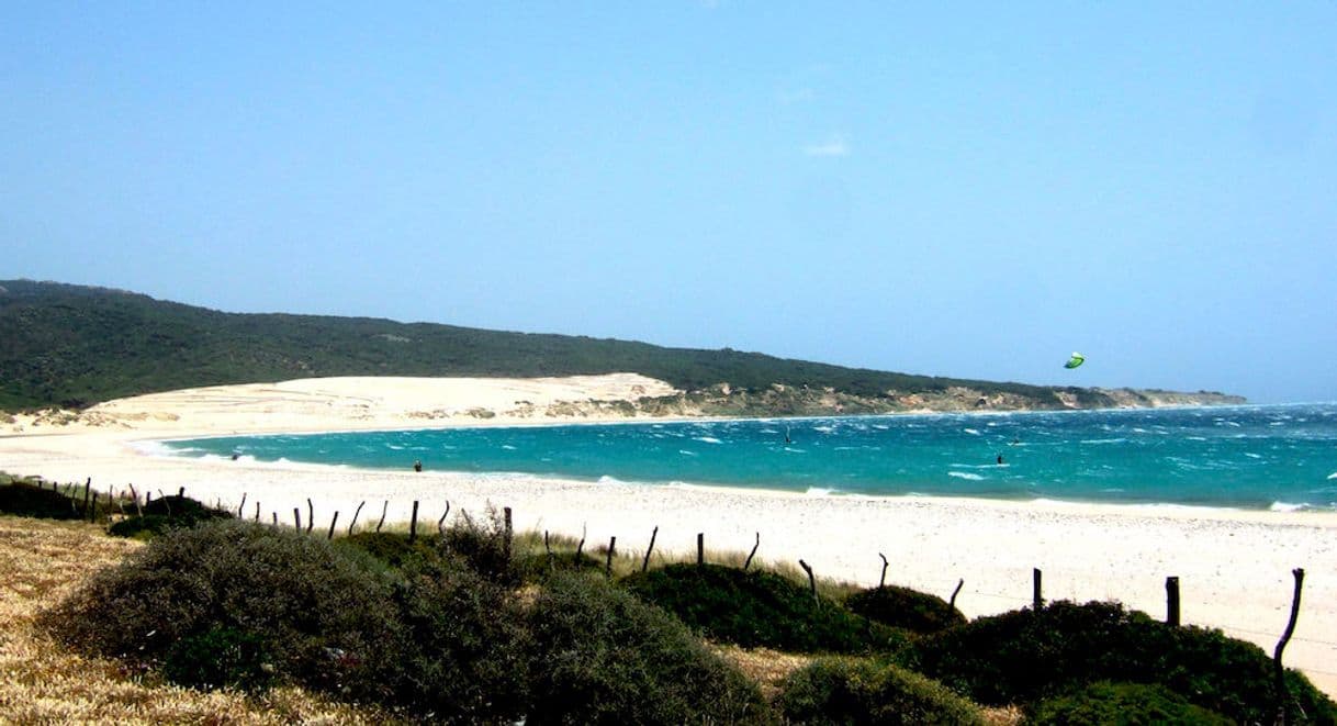 Lugar Playa Punta Paloma