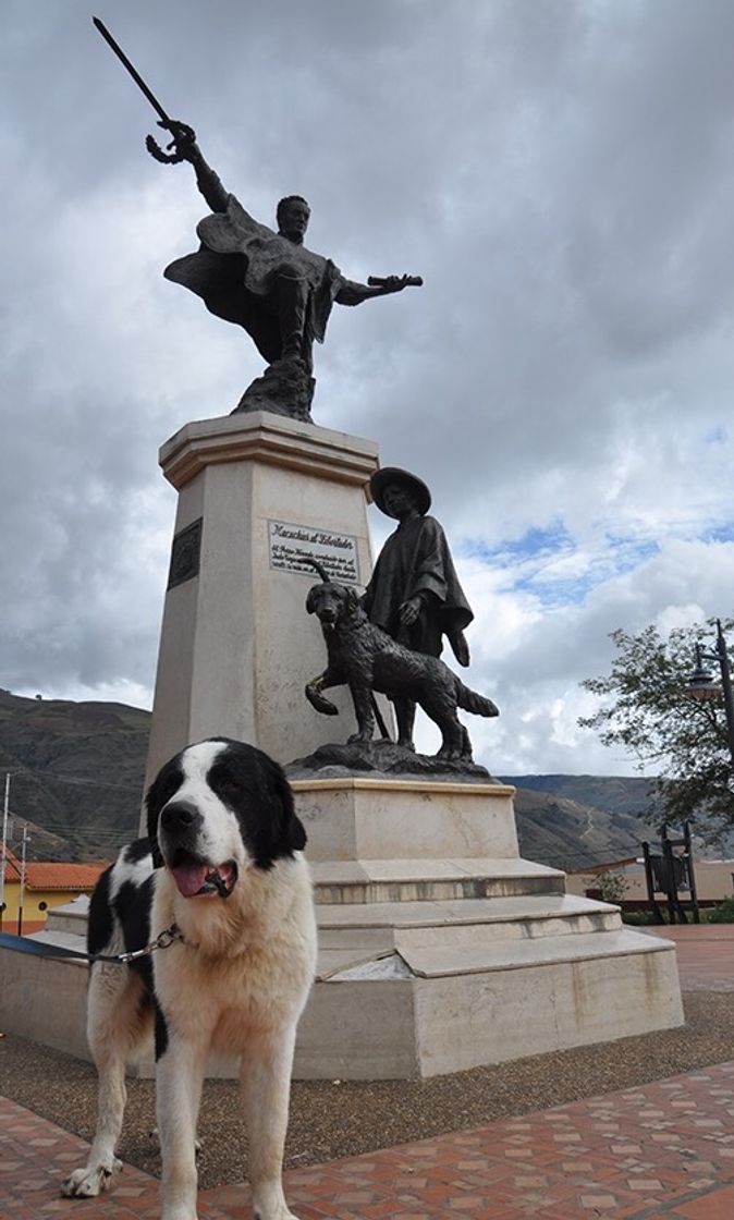 Lugar Monumento Al Perro Nevado