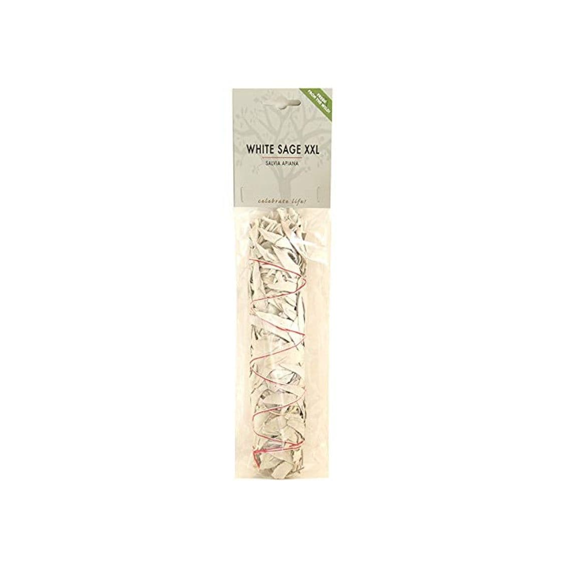 Producto XXL Salvia Blanca varillas Ramo de Smudge Stick (