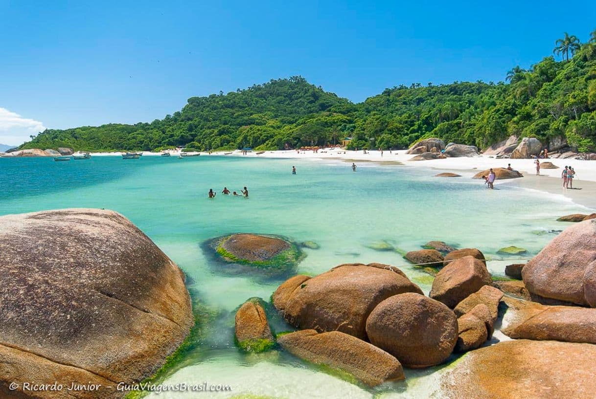 Lugar Praia Ilha do Campeche