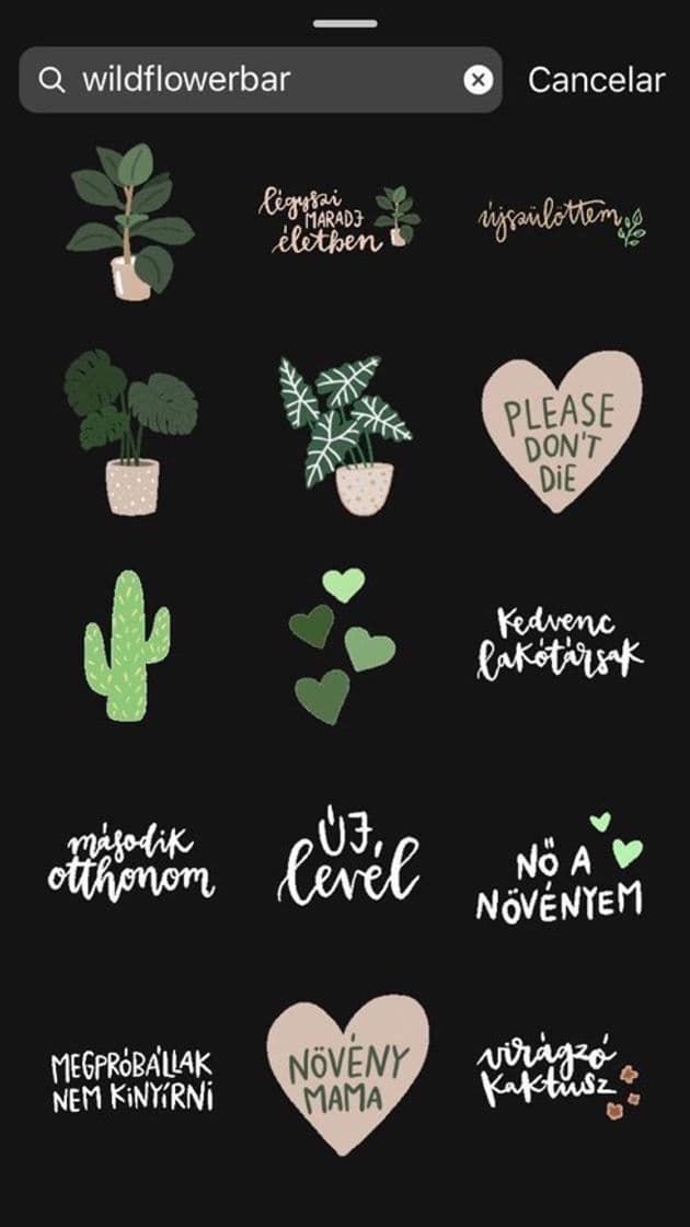 Moda Gif- Wildflowerbar 🌵