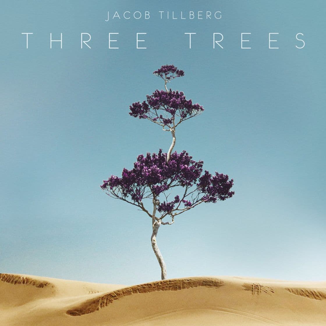 Music Three Trees