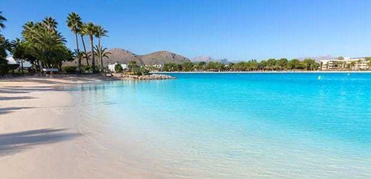 Lugar Playa de Alcudia