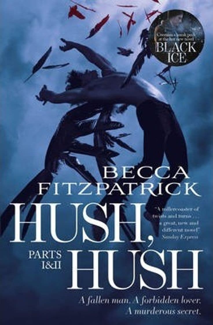 Libro Hush, Hush