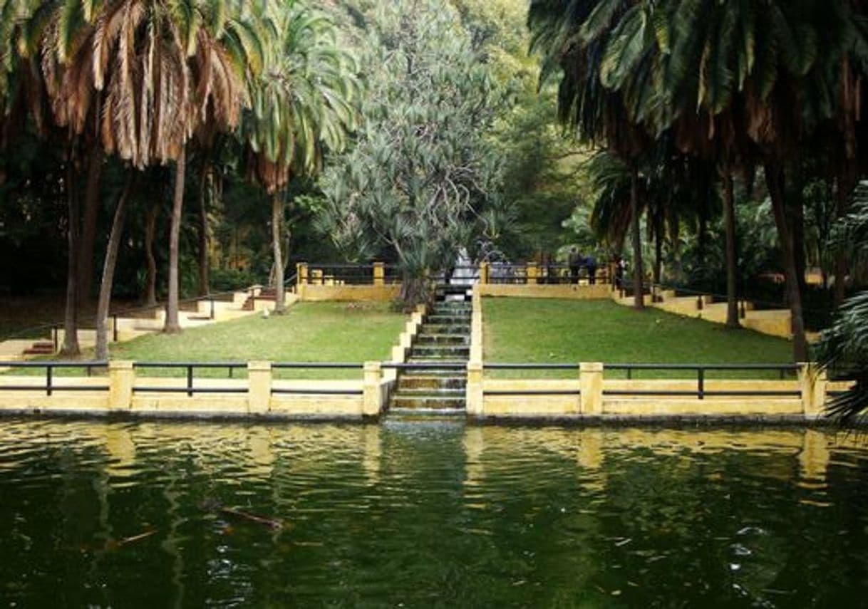 Lugar Parque da Água Branca