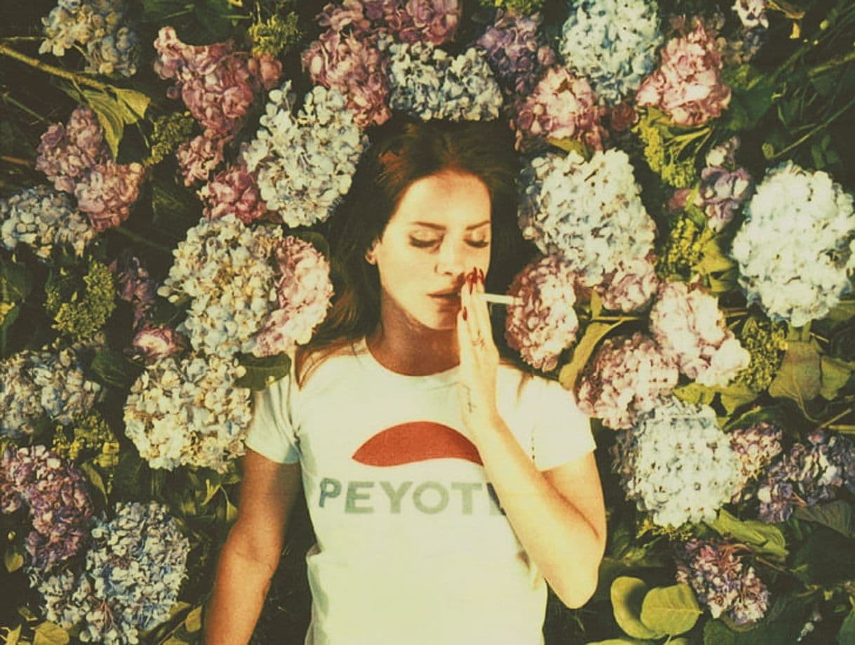 Fashion Lana Del Rey 