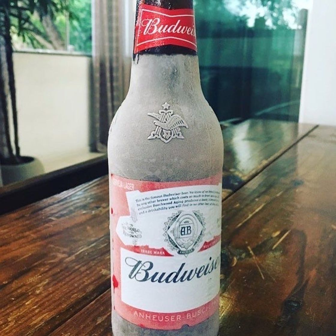 Fashion Budweiser 🍻