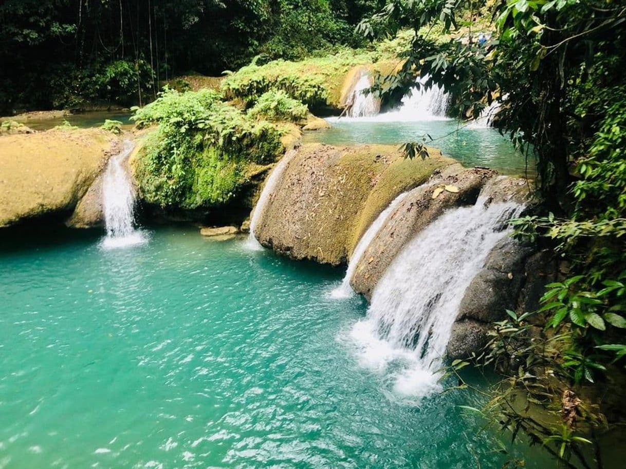 Lugar YS Falls