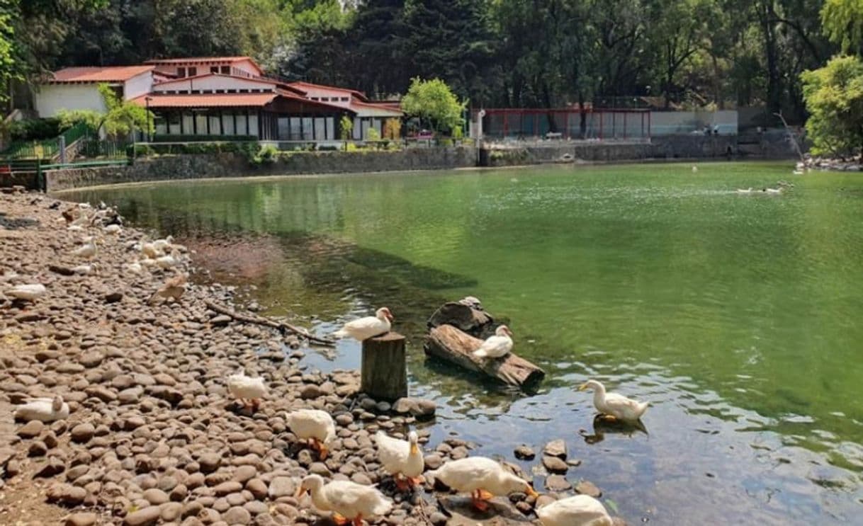 Lugar Piedra Encantada de Tlalpan