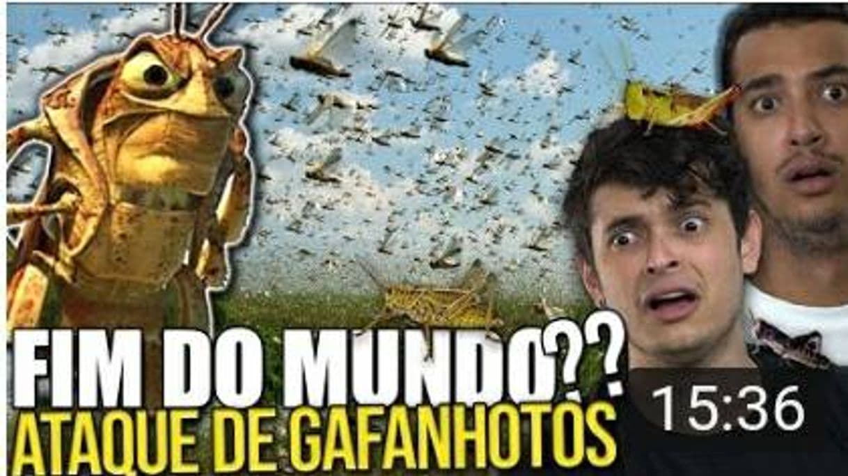 Moda NUVEM DE GAFANHOTOS se aproxima do BRASIL?? - ENTENDA O CASO