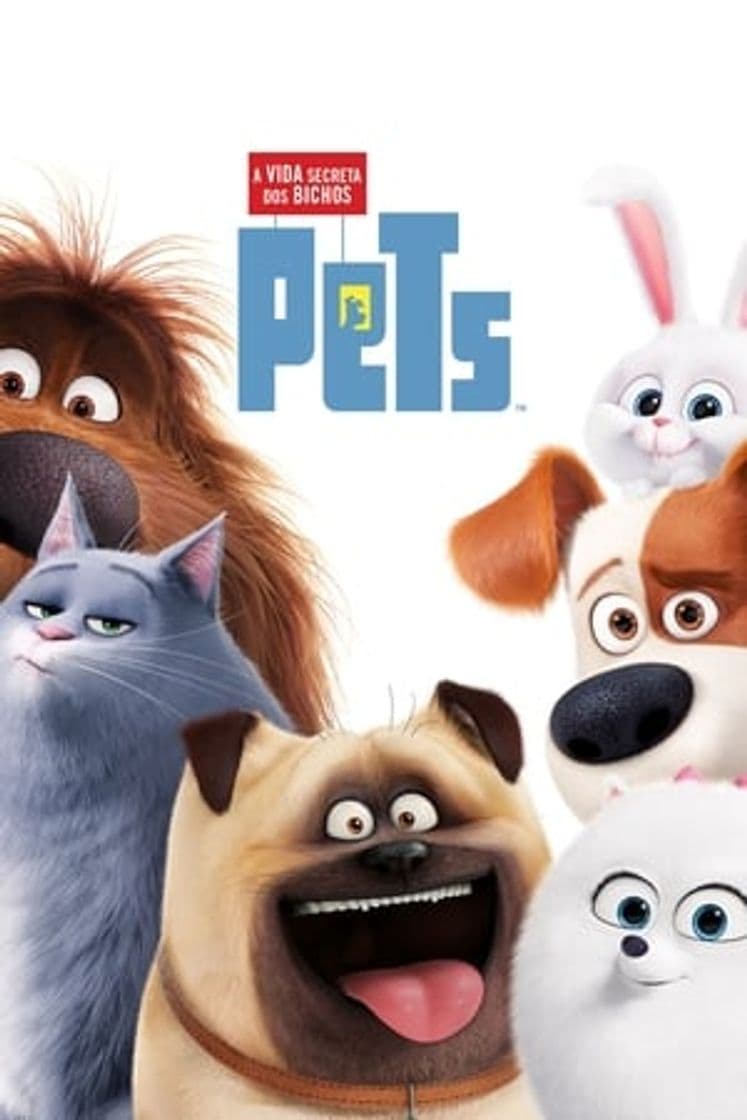 Película The Secret Life of Pets