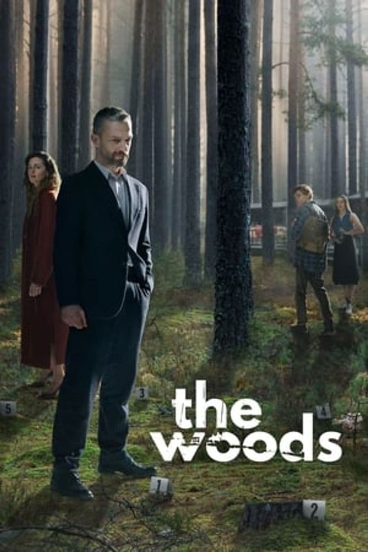 Serie The Woods