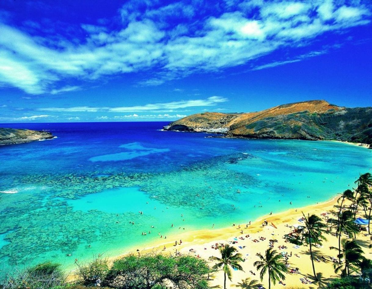 Place Hawaii