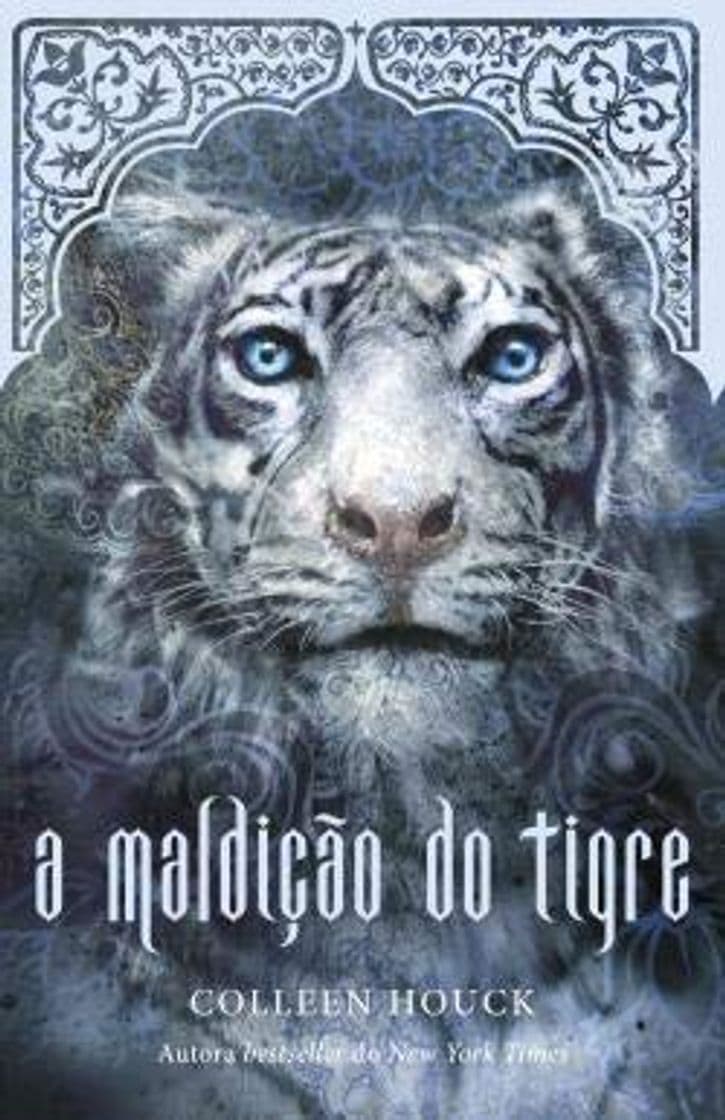 Book A maldição do tigre