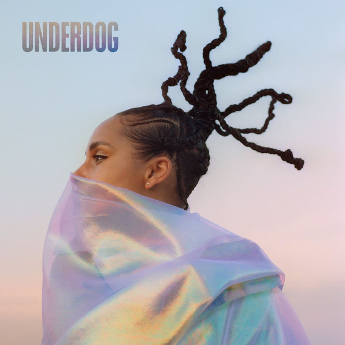 Canción Underdog