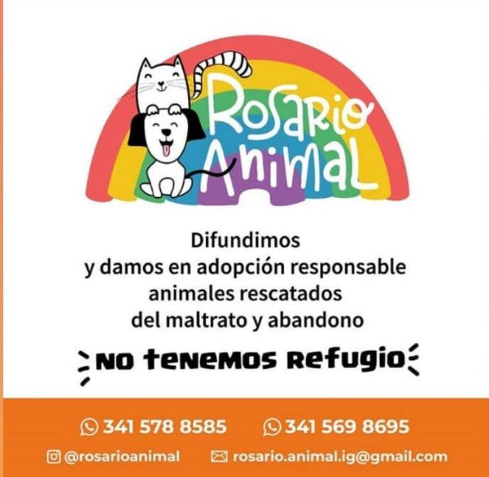 Moda Rosario Animal