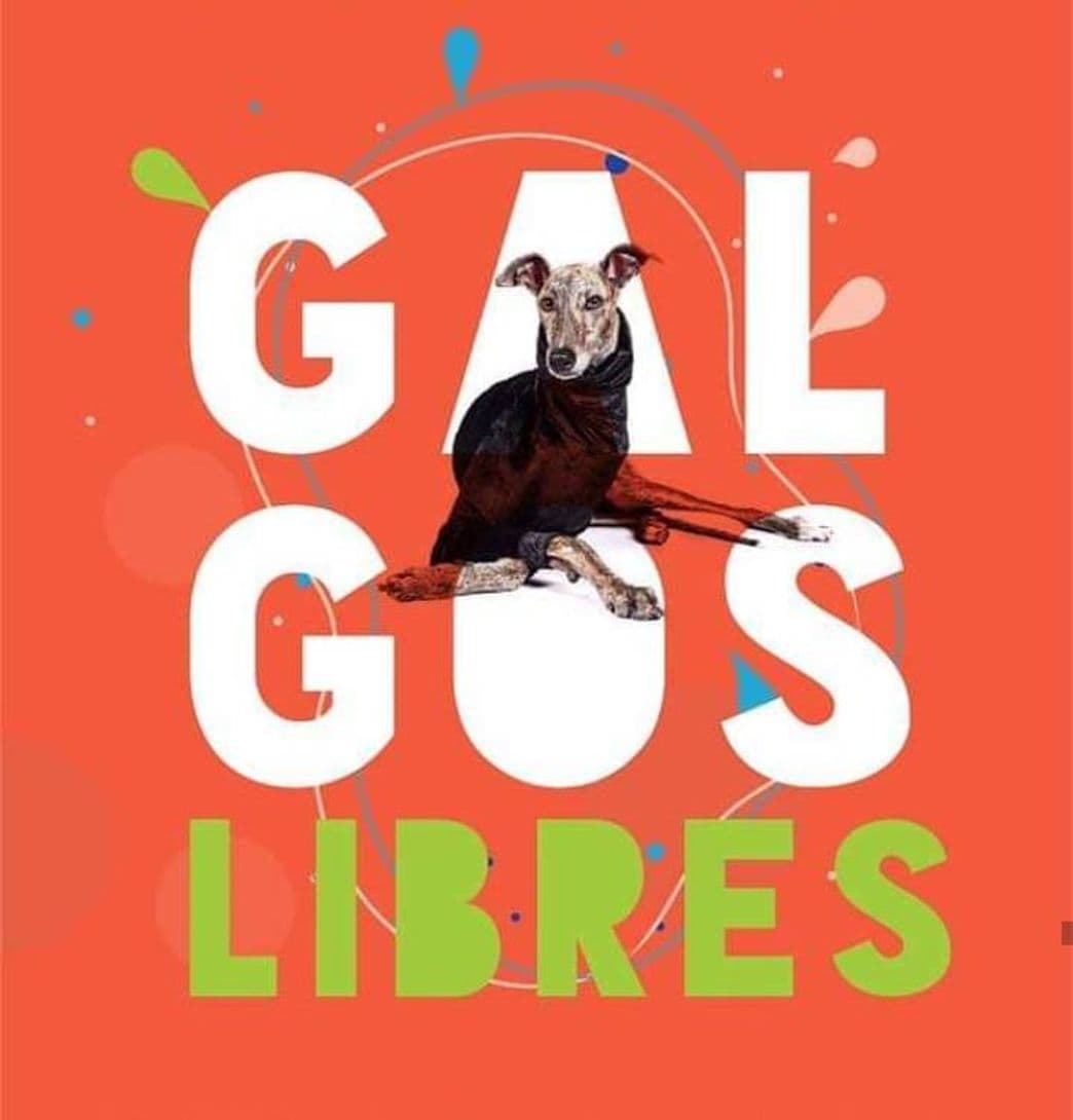 Moda Galgos Libres